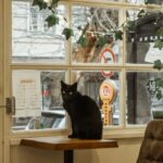 resized_151141